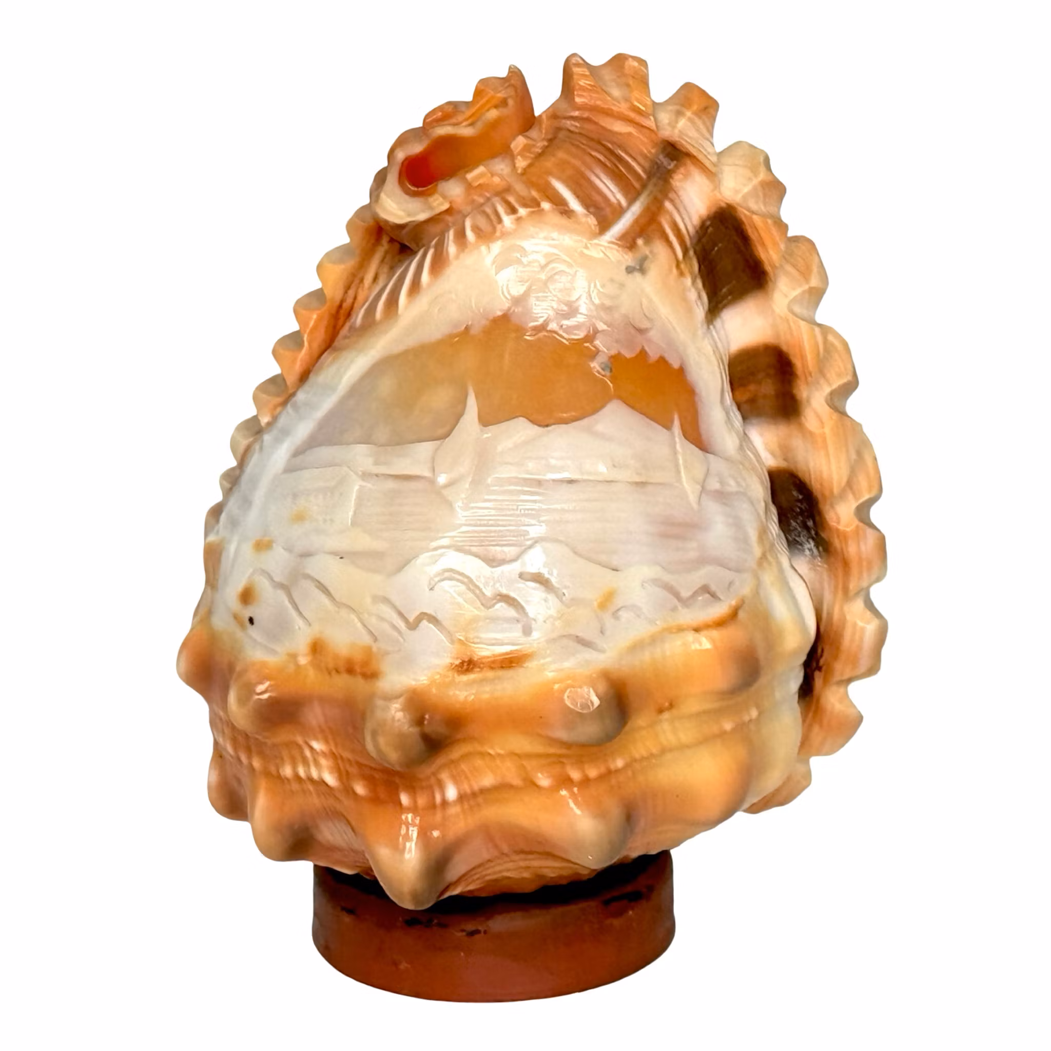 Vintage handsnidad snäckskal