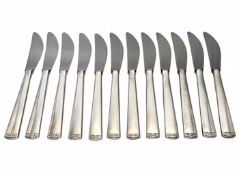 12 st, Bordsknivar med blad av rostfritt stål 18 cm