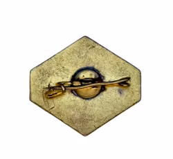 Jämtlandsfjällen Brosch