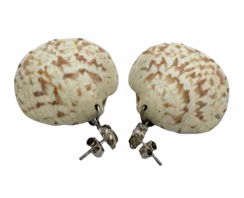 Strandsnäcka Örhängen i silver