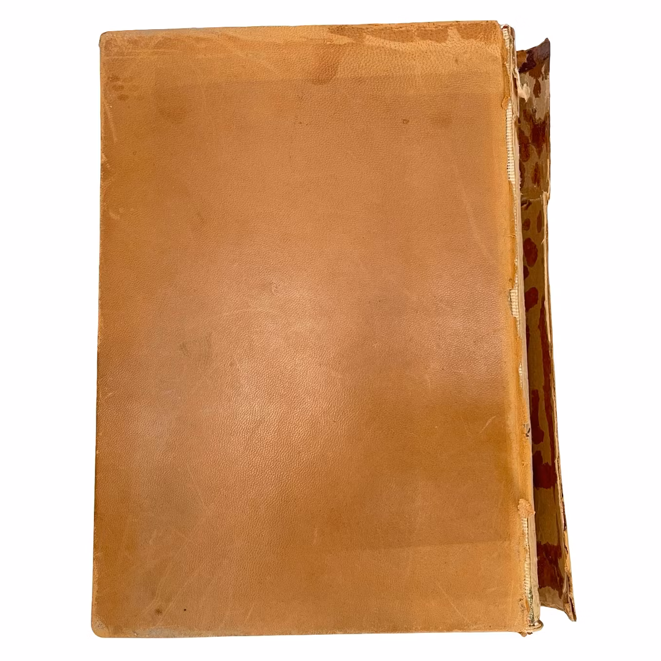 Danske Livregiment til fods, 1. Bataillon 1763-1913