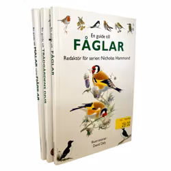 3 BÖCKER - Redaktör Nicholas Hammond, fåglar, fjärilar, trädgårdens djur
