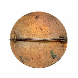 Antikk BROSI, håndmalt porselen / emalje