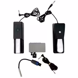 Roland Sustain & Boston sustain pedal m.m.