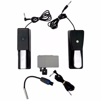 Roland Sustain & Boston sustain pedal m.m.