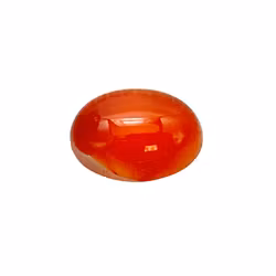 14,55 karat oval cabochon naturlig orange karneol