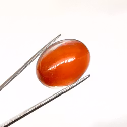 14,55 karat oval cabochon naturlig orange karneol