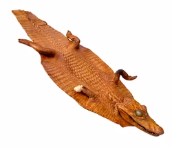 Crocodile empaillé antique - début du XXe siècle
