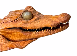 Crocodile empaillé antique - début du XXe siècle