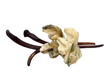 2 st vintage broscher i naturstil - Handgjorda