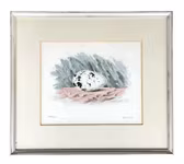 Björn Dahl - litografi med eggmotiv - nummerert 283/300 - signert