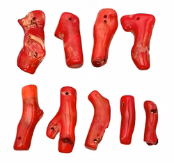 Echte rote Koralle – Natürliche, grobe Perlen (9 Stück)