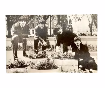 Vintage vykort - "The Beatles" - svartvitt - Nr 480 - 1960-tal