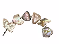 Statementarmband med naturliga skimrande snäckdelar & vitt metallänkar