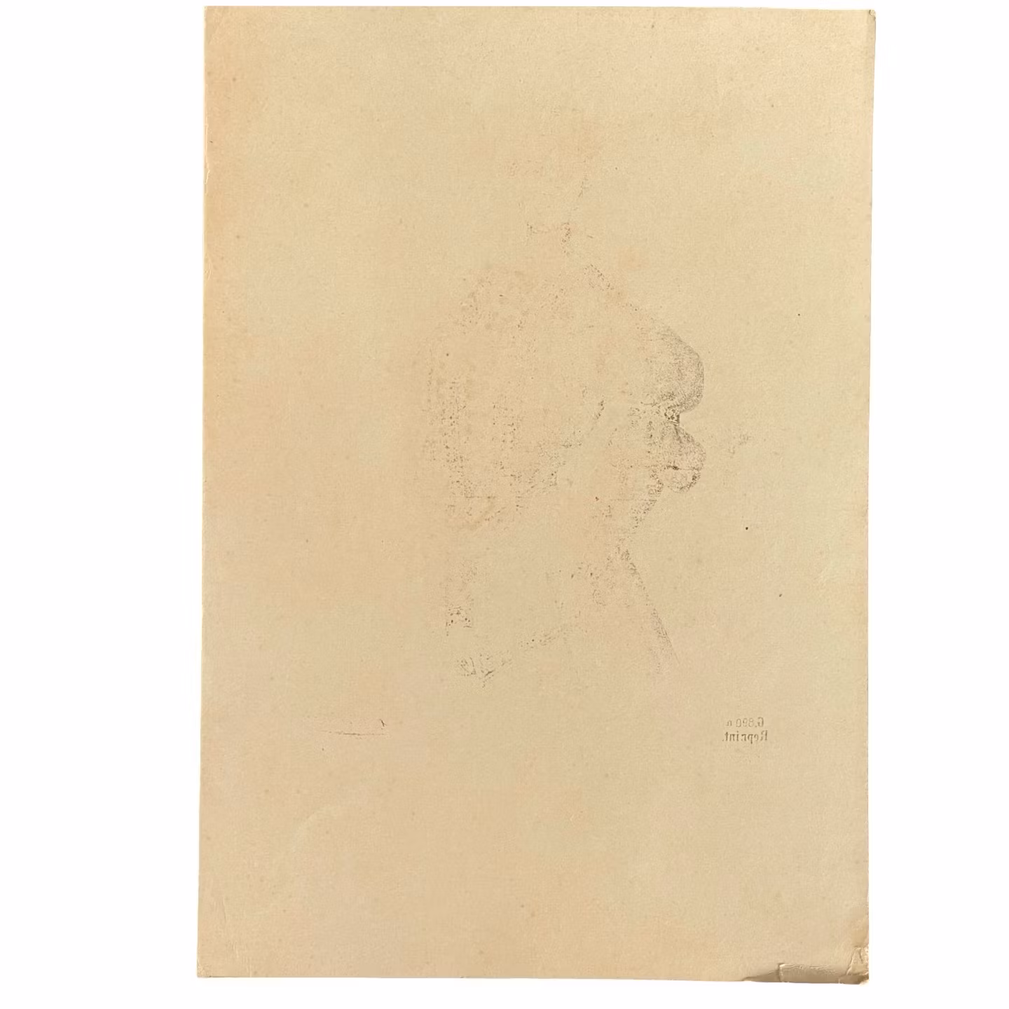 Older print - Fashion illustration by C. Heinemann - circa 1890-1910