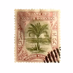 Frimärke - North Borneo - 3 cent - Palmträd - Stämplat, Sent 1800-tal