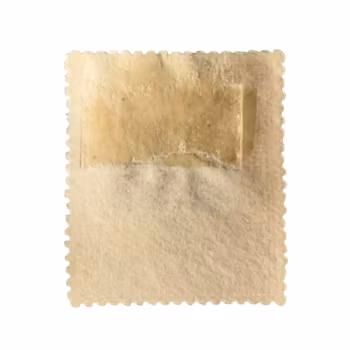 Francobollo - Borneo settentrionale - 3 centesimi - Palma - Annullato, fine XIX secolo