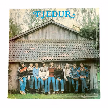 Vinyl LP - FJEDER - Fjeder (1979) Swedish folk / show - Original press