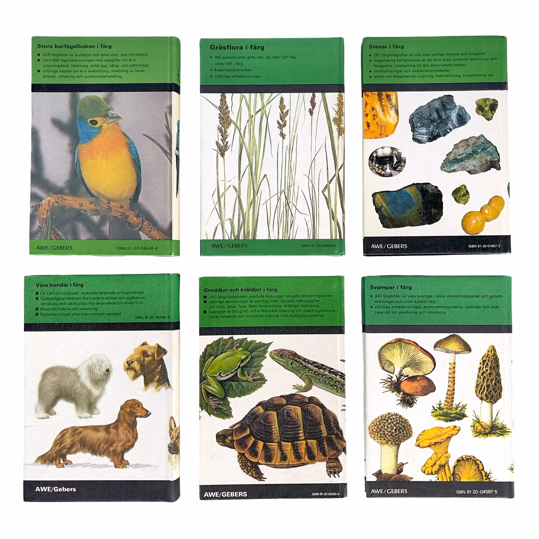 FÄRGSERIEN - 30 Böcker i färg Försäljning - Större parti samling