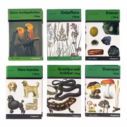 KLEURENSERIE - 30 Kleurenboeken in de aanbieding - Grote partijcollectie