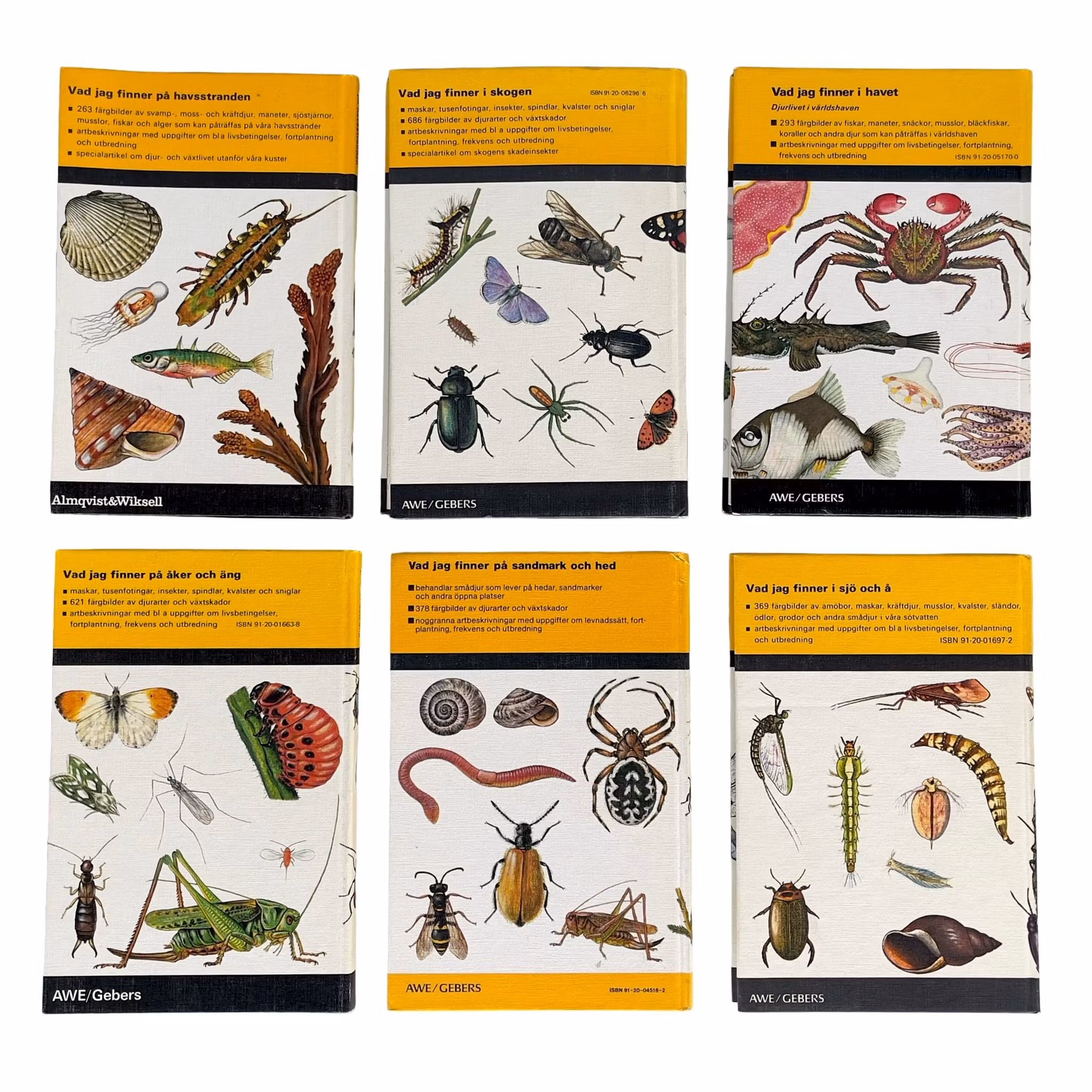 FÄRGSERIEN - 30 Böcker i färg Försäljning - Större parti samling