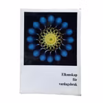 Ellunskap för vardagsbruk - Grund läggande bok om elektricitet