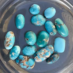 Echter Nishapuri-Türkis – Natürliche Cabochons – Schmucksteine / Sammlersteine