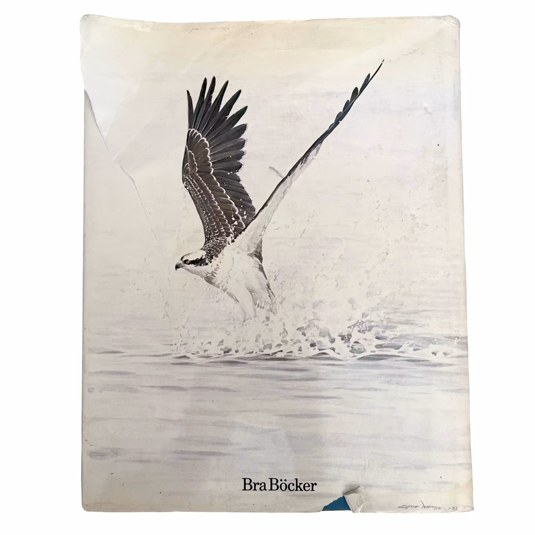 Europas Rovfåglar - Gunnar Pettersson (Inbunden, illustrerad)