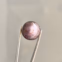 Naturlig rubin 11,35 ct - Eksklusiv cabochon med mulig stjerneeffekt