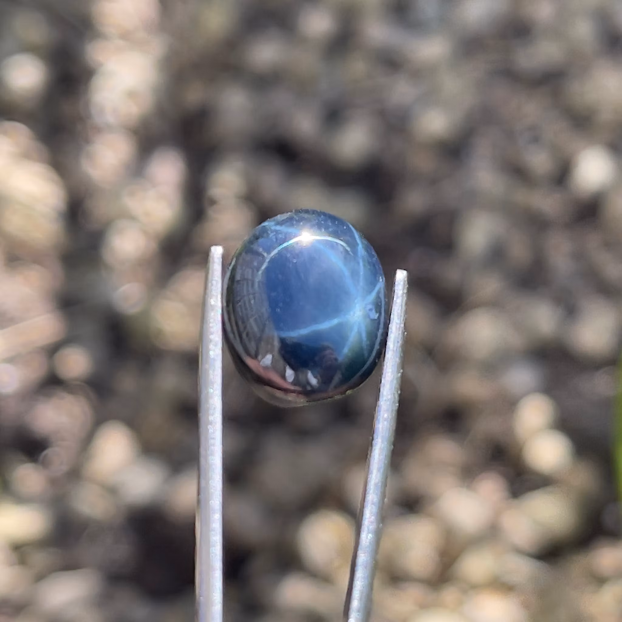 Zaffiro stellato naturale da 10,50 ct - Cabochon ovale - Asterismo a sei raggi