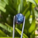 Naturlig Stjärnsafir 10,50 ct - Oval Kaboschon - Sexstrålig Asterism