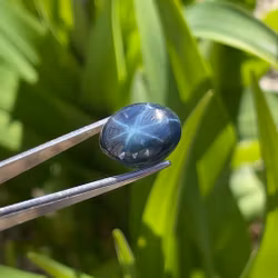 Naturlig stjernesafir 10,50 ct - Oval Cabochon - Seksstråle-asterisme