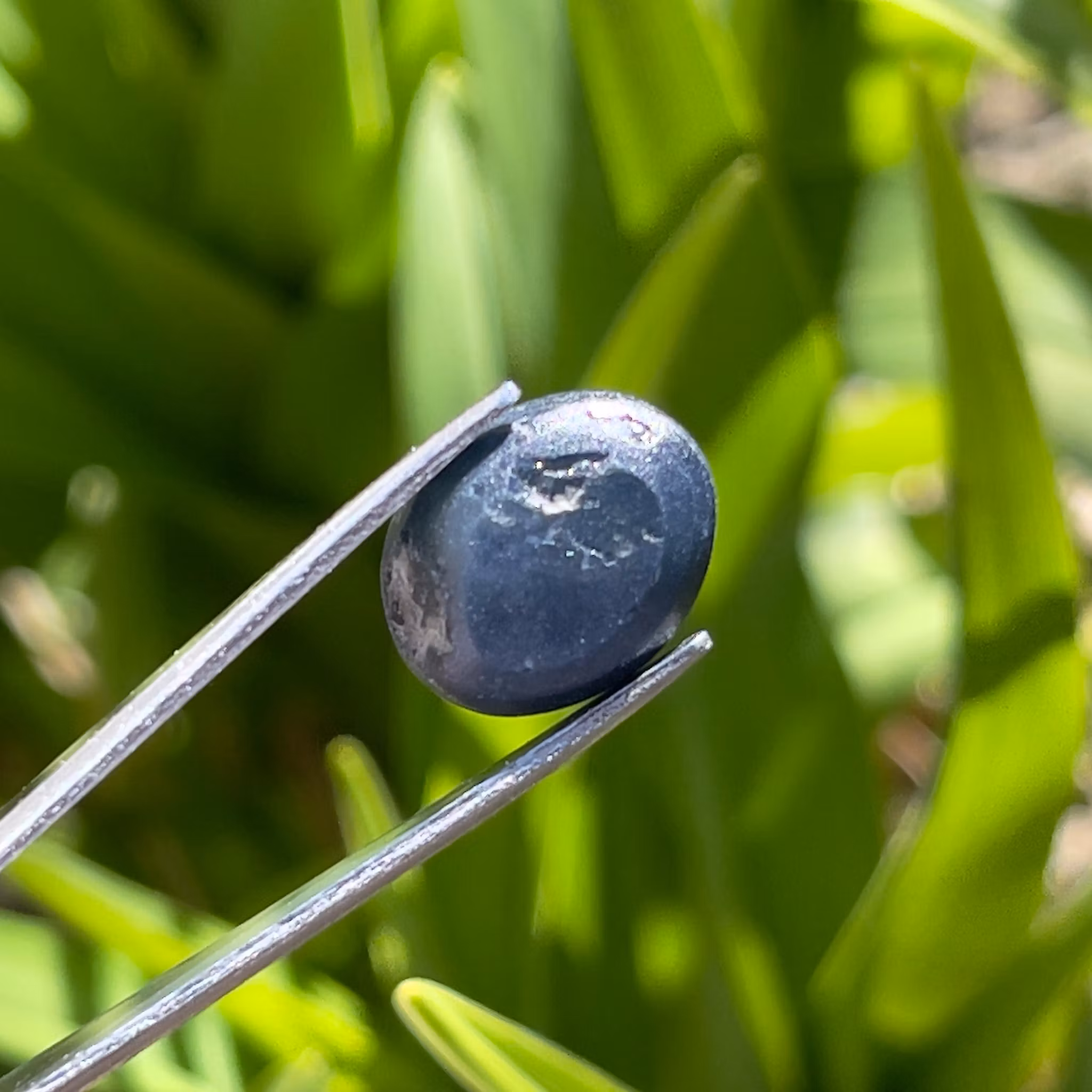 Zaffiro stellato naturale da 10,50 ct - Cabochon ovale - Asterismo a sei raggi