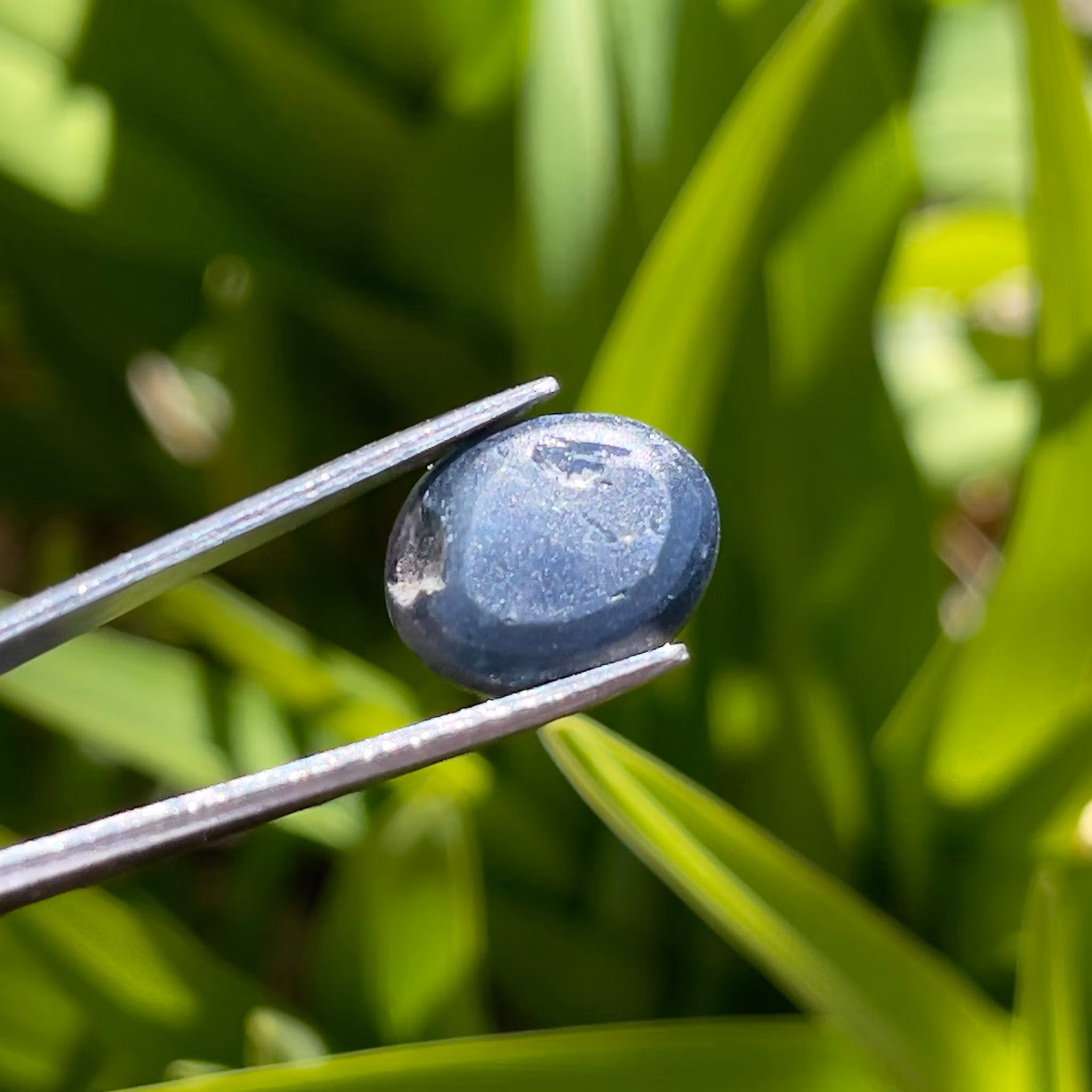 Zaffiro stellato naturale da 10,50 ct - Cabochon ovale - Asterismo a sei raggi