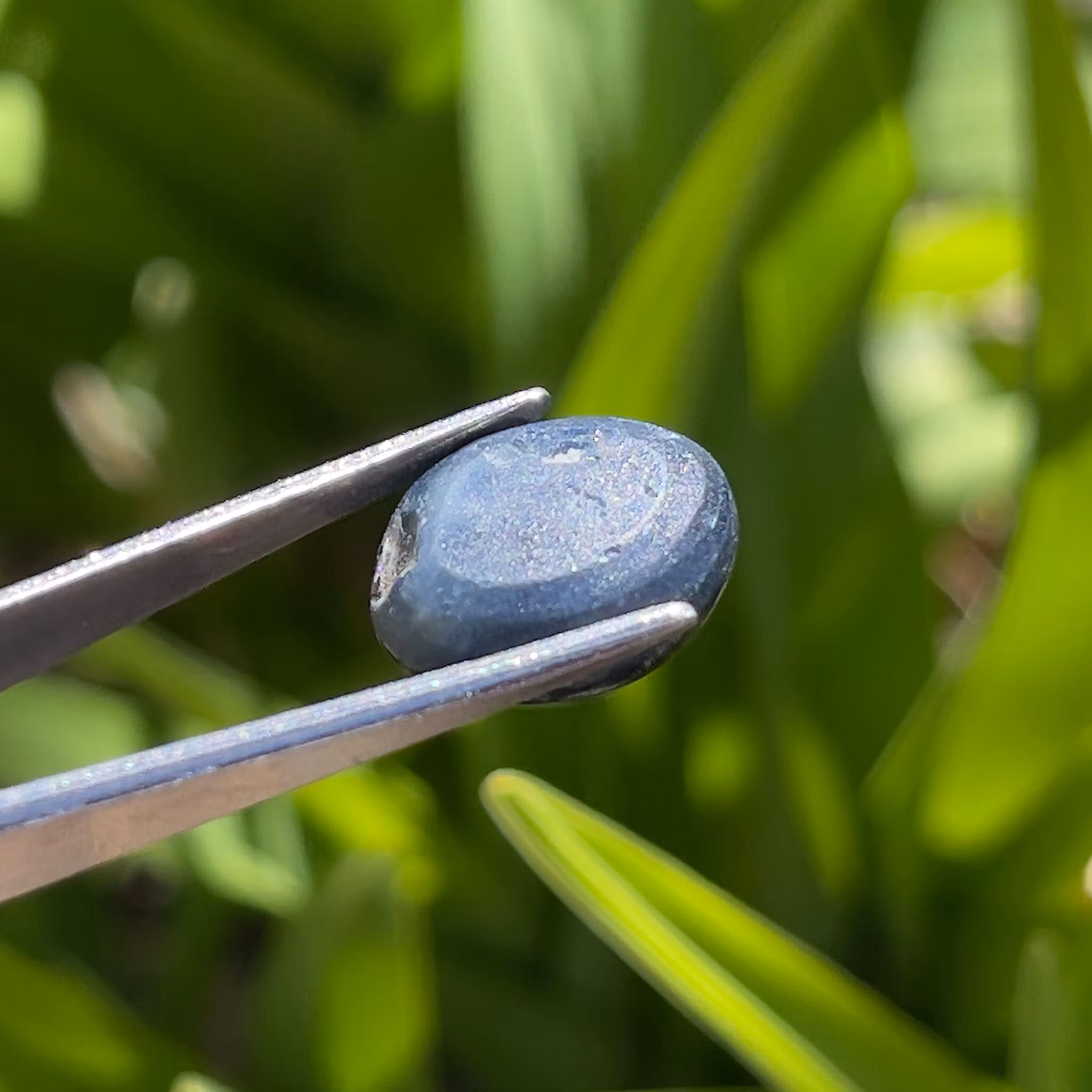 Zaffiro stellato naturale da 10,50 ct - Cabochon ovale - Asterismo a sei raggi