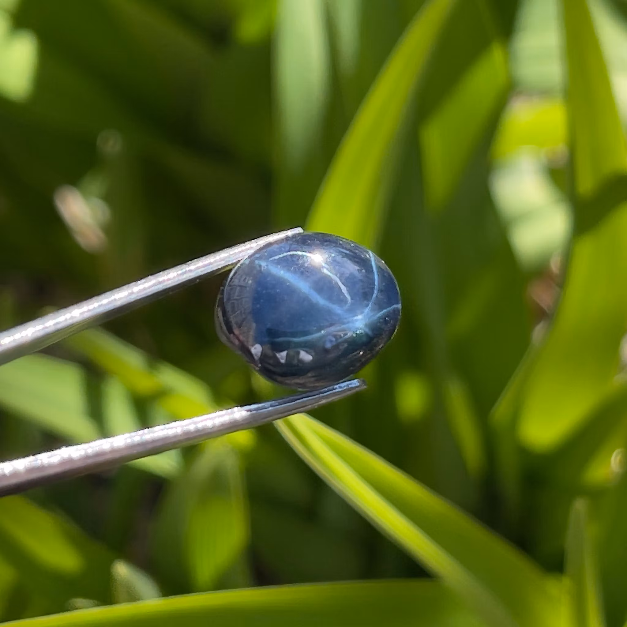 Zaffiro stellato naturale da 10,50 ct - Cabochon ovale - Asterismo a sei raggi