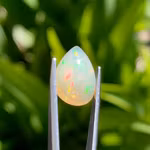 Naturlig Welo Opal 2,90 ct - Dropp formad Kaboschon - Intensivt Färgspel
