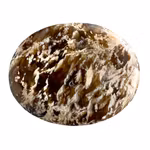 Stor Moss Agat / Plume Agat cabochon - 136 ct