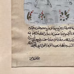 Miniatura - Polo (Chogan) con calligrafia araba