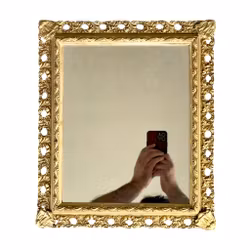 Élégant miroir mural ancien, avec un cadre magnifiquement doré et richement décoré dans le style rococo.