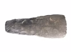 Hache en silex de Scanie - Néolithique final (2800-2300 av. J.-C.) - Marquage ancien 427