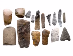 Reperti dell'età della pietra - 15 pezzi - Asce di selce, scalpelli e strumenti in pietra - Collezione antica