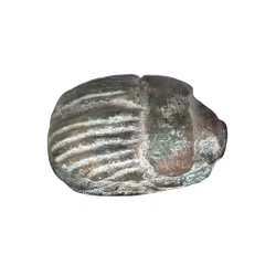 Antiker ägyptischer Skarabäus – Natürlicher Smaragd, 58 ct – Ra – ca. 1850–1640 v. Chr.
