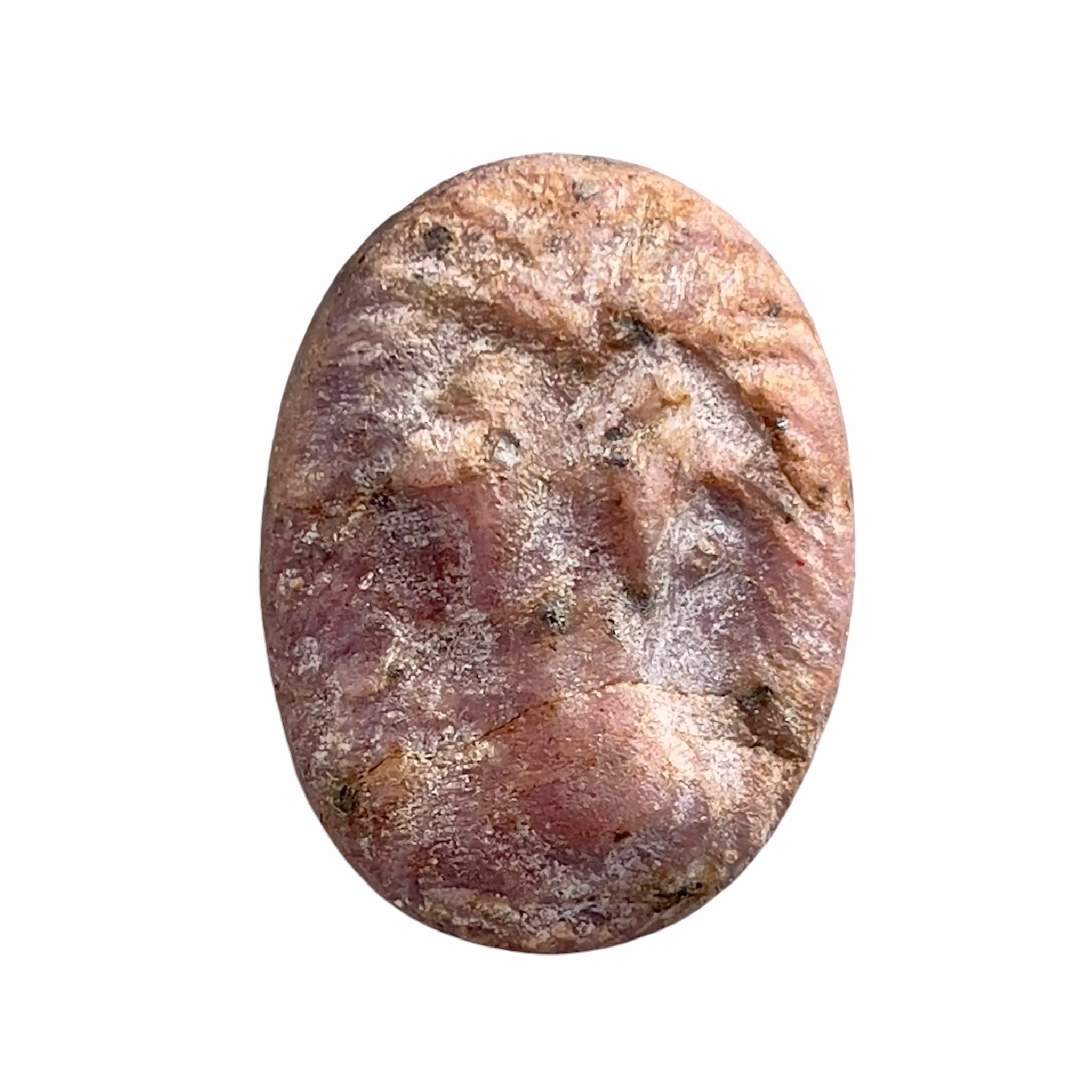 Antik Romersk Snidad Naturlig Rubin 52 ct - Lejon i Relief - Tidiga Romerska Republiken - 500-300 f.Kr.