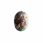 Naturlig Nishapuri Turkos - 18 ct - Oval Cabochon