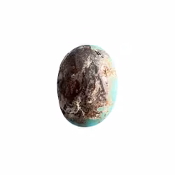 Natuurlijke Nishapuri turkoois - 18 karaat - ovale cabochon