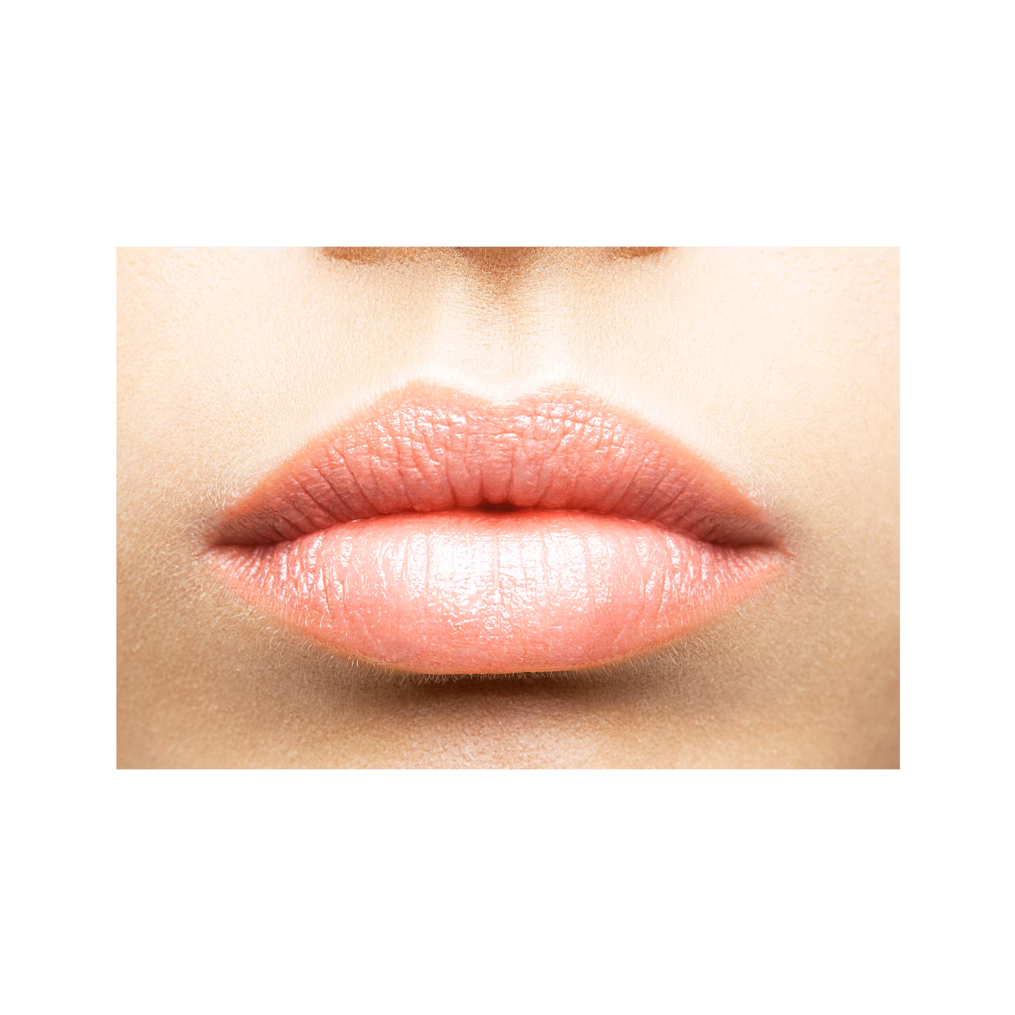 Lip gloss miami