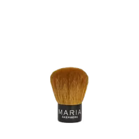 Kabuki brush