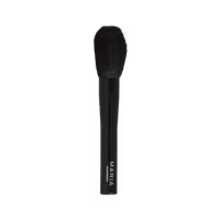Powder brush