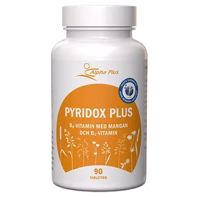 Pyridox Plus 90 tab